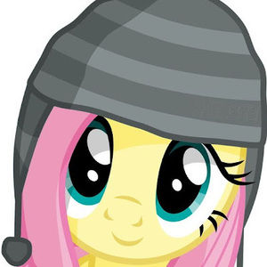 Meet your Posher, No thank